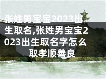 张姓男宝宝2023出生取名,张姓男宝宝2023出生取名字怎么取孝顺善良