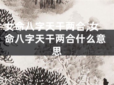 女命八字天干两合,女命八字天干两合什么意思