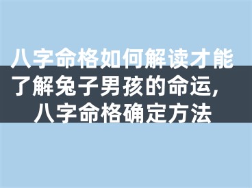 八字命格如何解读才能了解兔子男孩的命运,八字命格确定方法