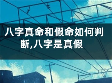 八字真命和假命如何判断,八字是真假