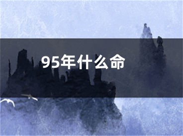 95年什么命