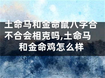 土命马和金命鼠八字合不合会相克吗,土命马和金命鸡怎么样