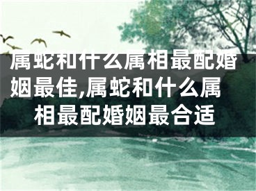 属蛇和什么属相最配婚姻最佳,属蛇和什么属相最配婚姻最合适