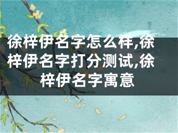 徐梓伊名字怎么样,徐梓伊名字打分测试,徐梓伊名字寓意