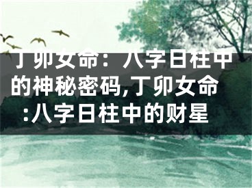 丁卯女命：八字日柱中的神秘密码,丁卯女命:八字日柱中的财星