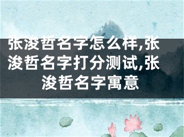 张浚哲名字怎么样,张浚哲名字打分测试,张浚哲名字寓意