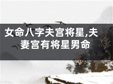 女命八字夫宫将星,夫妻宫有将星男命