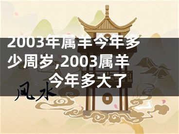 2003年属羊今年多少周岁,2003属羊今年多大了