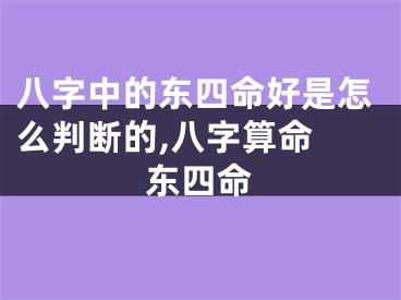 八字中的东四命好是怎么判断的,八字算命 东四命