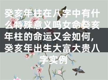 癸亥年柱在八字中有什么特殊意义吗女命癸亥年柱的命运又会如何,癸亥年出生大富大贵八字实例