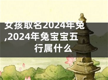 女孩取名2024年兔,2024年兔宝宝五行属什么