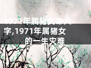 1971年属猪女命八字,1971年属猪女的一生灾难