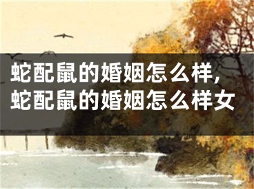 蛇配鼠的婚姻怎么样,蛇配鼠的婚姻怎么样女