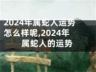 2024年属蛇人运势怎么样呢,2024年属蛇人的运势
