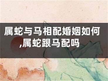 属蛇与马相配婚姻如何,属蛇跟马配吗