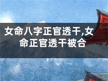 女命八字正官透干,女命正官透干被合