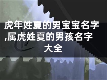 虎年姓夏的男宝宝名字,属虎姓夏的男孩名字大全