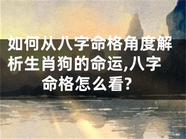 如何从八字命格角度解析生肖狗的命运,八字命格怎么看?