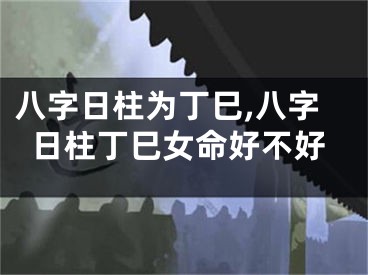 八字日柱为丁巳,八字日柱丁巳女命好不好