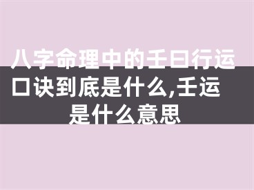 八字命理中的壬曰行运口诀到底是什么,壬运是什么意思