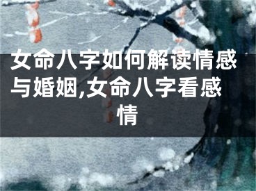 女命八字如何解读情感与婚姻,女命八字看感情