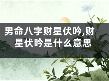 男命八字财星伏吟,财星伏吟是什么意思