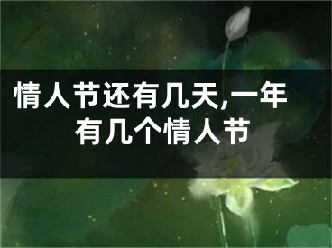情人节还有几天,一年有几个情人节