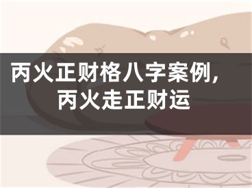 丙火正财格八字案例,丙火走正财运