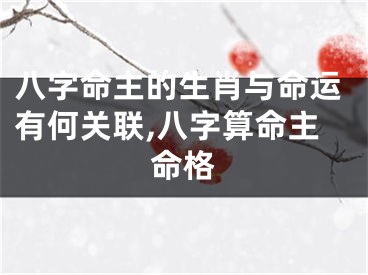 八字命主的生肖与命运有何关联,八字算命主命格