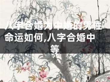 八字合婚为中婚的男性命运如何,八字合婚中等