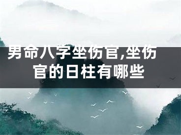 男命八字坐伤官,坐伤官的日柱有哪些