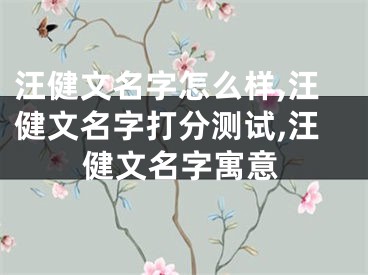 汪健文名字怎么样,汪健文名字打分测试,汪健文名字寓意