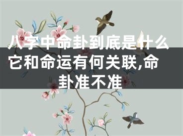 八字中命卦到底是什么它和命运有何关联,命卦准不准