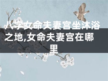 八字女命夫妻宫坐沐浴之地,女命夫妻宫在哪里