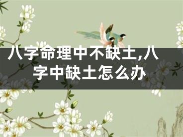 八字命理中不缺土,八字中缺土怎么办