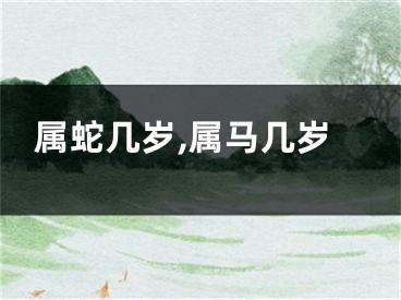属蛇几岁,属马几岁