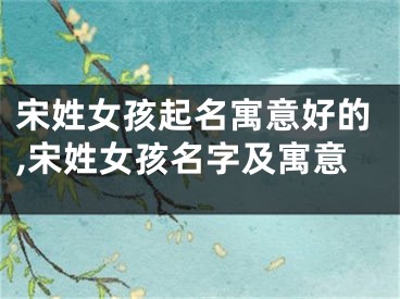 宋姓女孩起名寓意好的,宋姓女孩名字及寓意