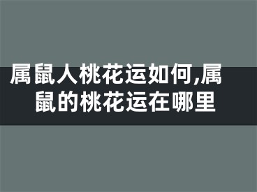 属鼠人桃花运如何,属鼠的桃花运在哪里