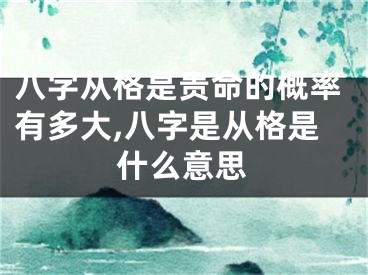 八字从格是贵命的概率有多大,八字是从格是什么意思