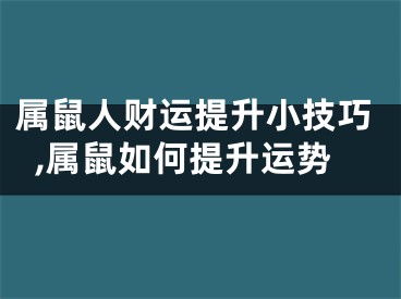 属鼠人财运提升小技巧,属鼠如何提升运势