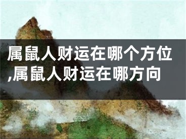 属鼠人财运在哪个方位,属鼠人财运在哪方向