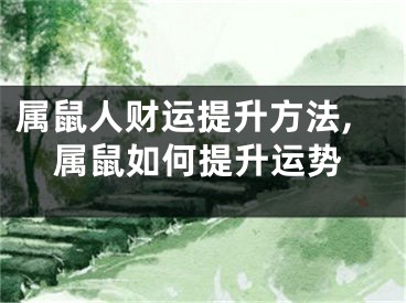 属鼠人财运提升方法,属鼠如何提升运势