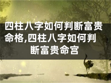 四柱八字如何判断富贵命格,四柱八字如何判断富贵命宫