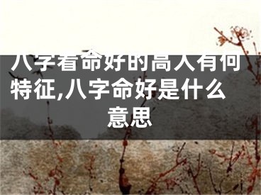 八字看命好的高人有何特征,八字命好是什么意思