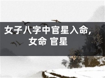 女子八字中官星入命,女命 官星
