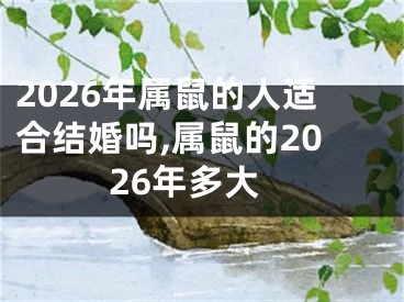 2026年属鼠的人适合结婚吗,属鼠的2026年多大