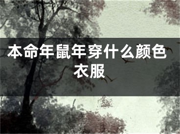 本命年鼠年穿什么颜色衣服