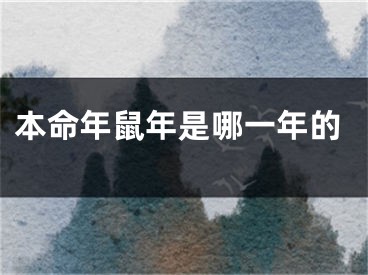 本命年鼠年是哪一年的