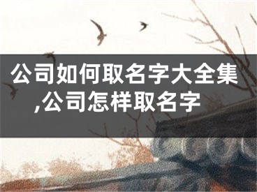 公司如何取名字大全集,公司怎样取名字