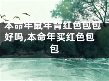 本命年鼠年背红色包包好吗,本命年买红色包包